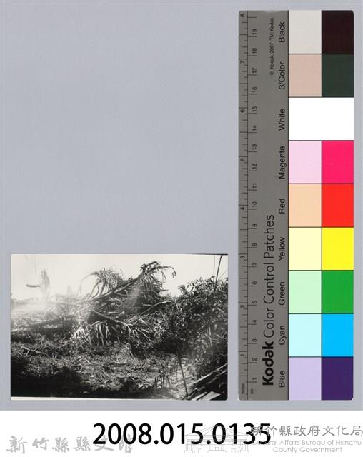 林保仁縣長主政照片：新竹縣芎林堤防防汛搶救演習-22藏品圖，第3張