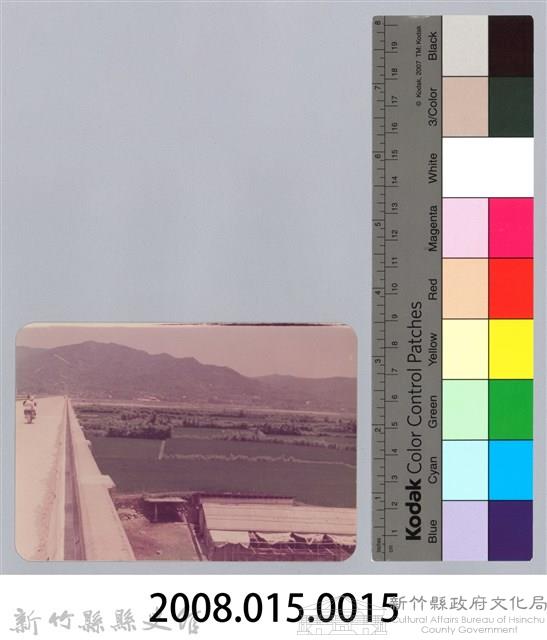 林保仁縣長主政照片：頭前溪剷除高莖作物-14藏品圖，第3張