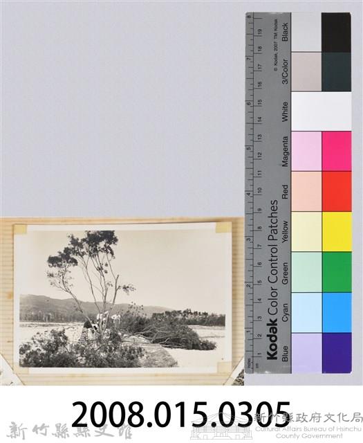 林保仁縣長主政照片：縣長林保仁視察-98藏品圖，第3張