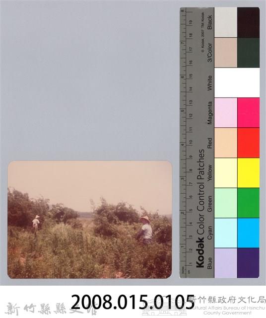 林保仁縣長主政照片：新竹縣新埔鎮六十七年度防汛演習-68藏品圖，第3張