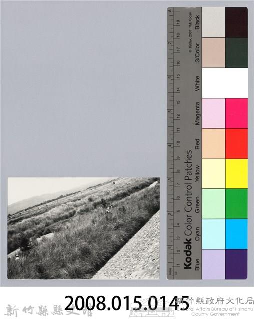 林保仁縣長主政照片：新竹縣芎林堤防防汛搶救演習-32藏品圖，第3張