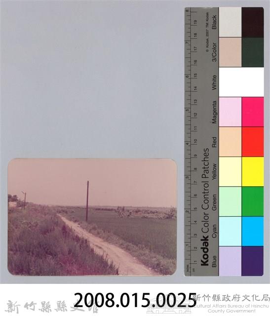 林保仁縣長主政照片：頭前溪剷除高莖作物-24藏品圖，第3張