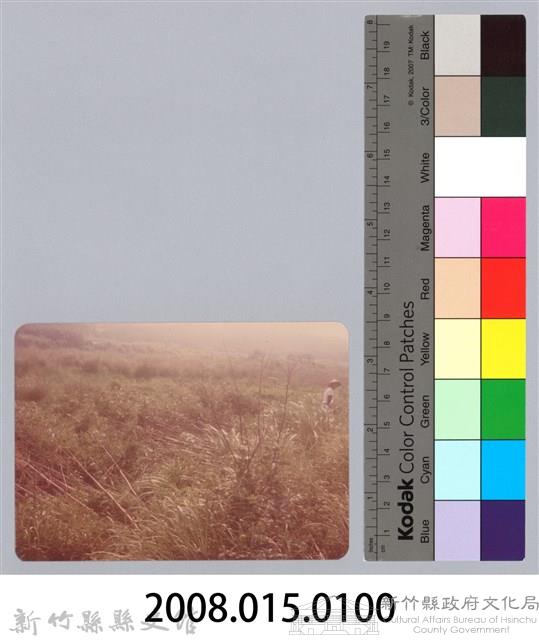 林保仁縣長主政照片：新竹縣新埔鎮六十七年度防汛演習-63藏品圖，第3張