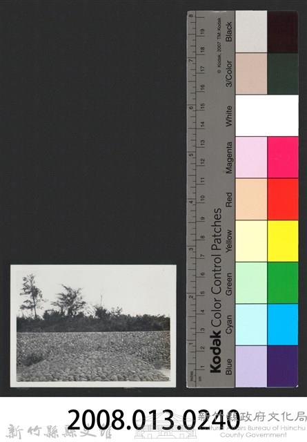 新庒子溪崁頭堤防復原工程(堤防復原301M)-施工後1藏品圖，第3張