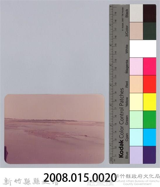 林保仁縣長主政照片：頭前溪剷除高莖作物-19藏品圖，第3張