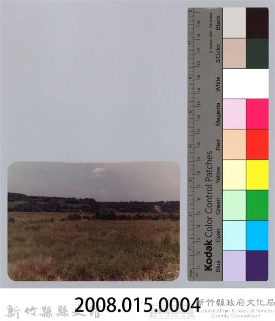 林保仁縣長主政照片：頭前溪剷除高莖作物-3藏品圖，第3張