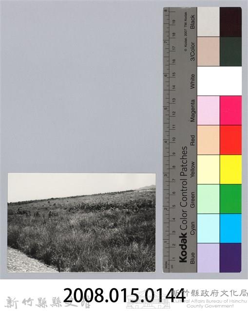 林保仁縣長主政照片：新竹縣芎林堤防防汛搶救演習-31藏品圖，第3張