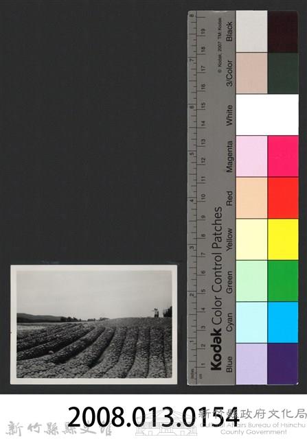 鳳山溪六股堤防復原工程(堤防復原300M)-施工後藏品圖，第3張