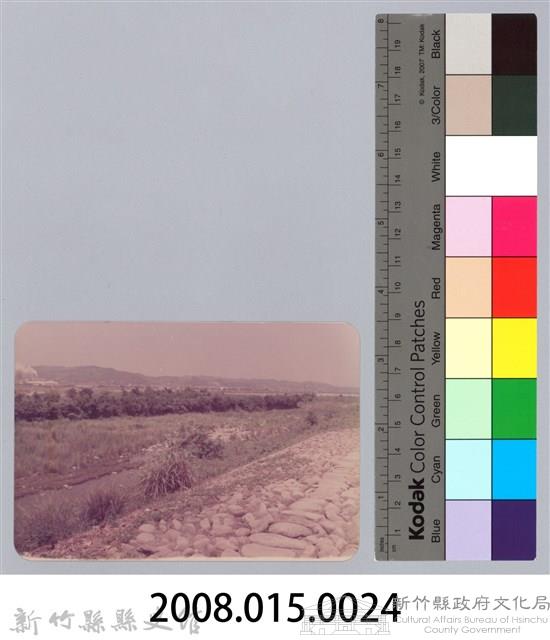 林保仁縣長主政照片：頭前溪剷除高莖作物-23藏品圖，第3張