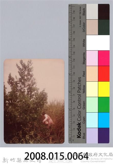 林保仁縣長主政照片：新竹縣新埔鎮六十七年度防汛演習-27藏品圖，第3張