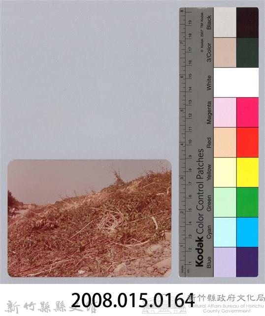 林保仁縣長主政照片：新竹縣芎林堤防防汛搶救演習-51藏品圖，第3張