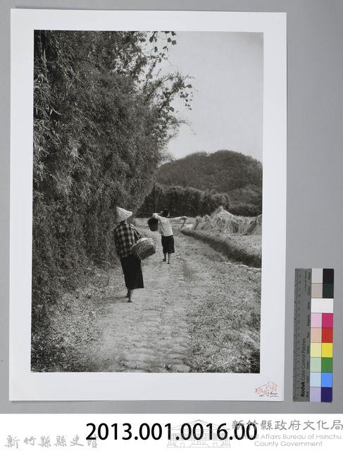 新竹鄉下─歸途（1950年）藏品圖，第3張