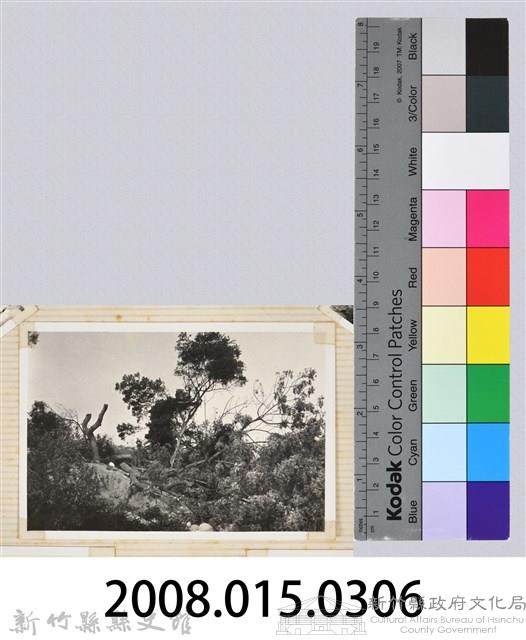 林保仁縣長主政照片：縣長林保仁視察-99藏品圖，第3張