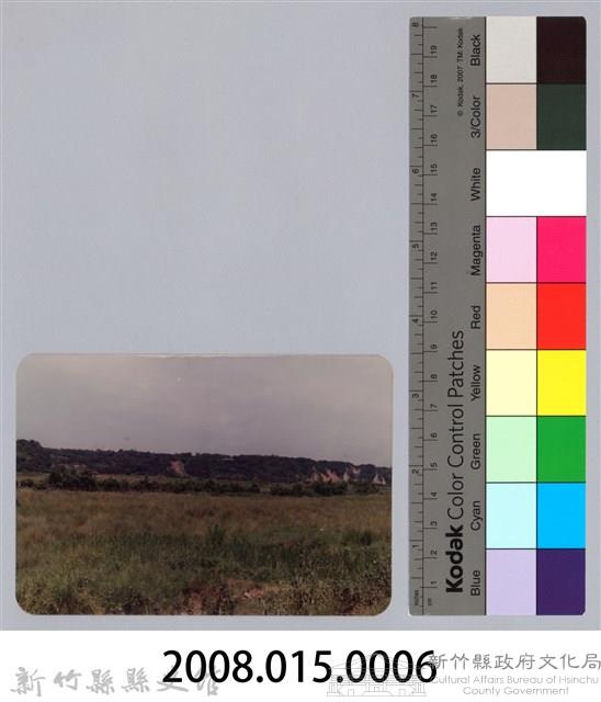 林保仁縣長主政照片：頭前溪剷除高莖作物-5藏品圖，第3張