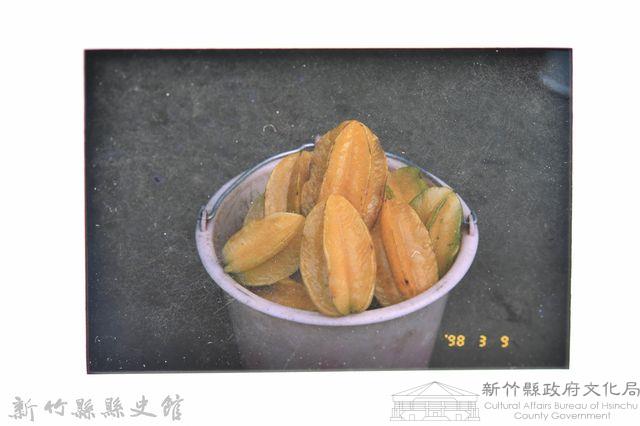 ［幻燈片］寶山楊桃１藏品圖，第3張