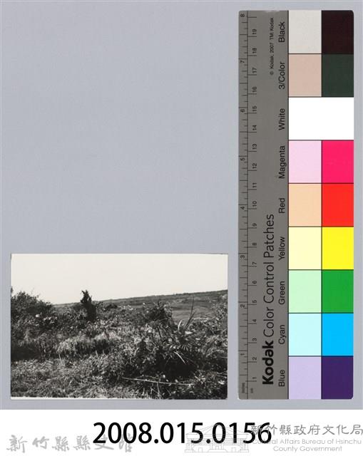 林保仁縣長主政照片：新竹縣芎林堤防防汛搶救演習-43藏品圖，第3張