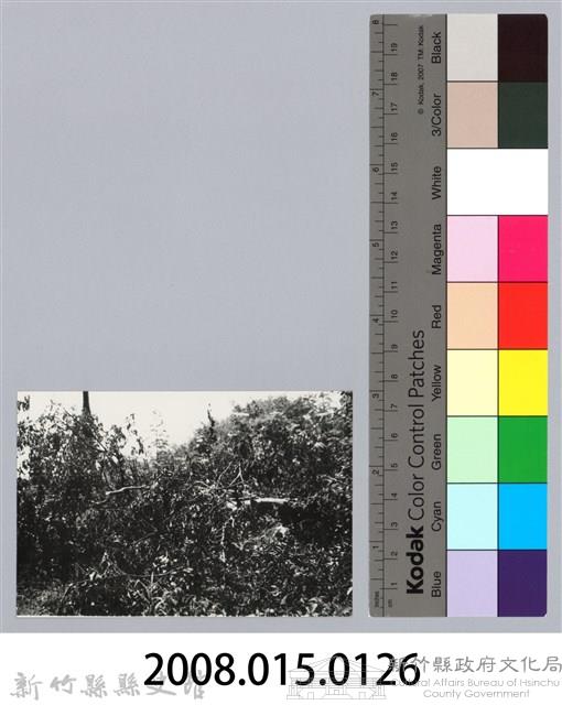 林保仁縣長主政照片：新竹縣芎林堤防防汛搶救演習-13藏品圖，第3張