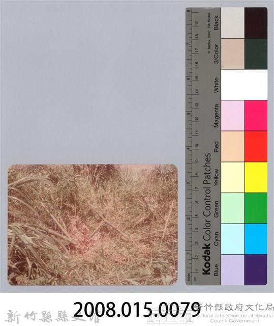 林保仁縣長主政照片：新竹縣新埔鎮六十七年度防汛演習-42藏品圖，第3張