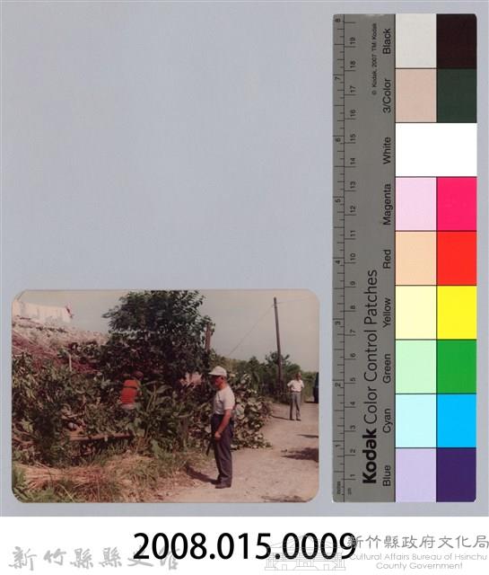 林保仁縣長主政照片：頭前溪剷除高莖作物-8藏品圖，第3張