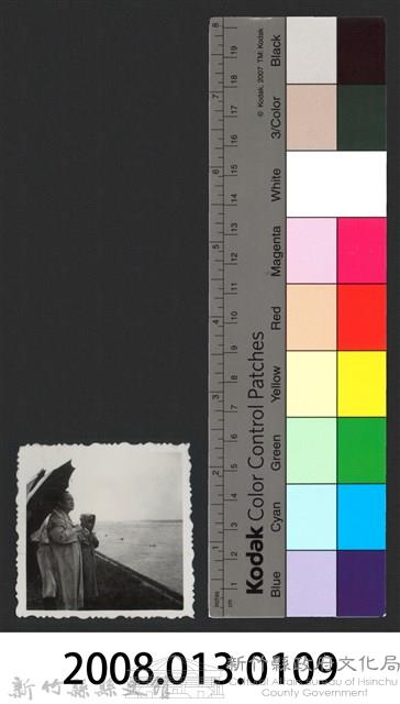 彭縣長出巡各市鎮：四十九年八一水災-3藏品圖，第3張