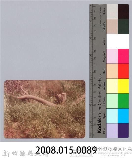 林保仁縣長主政照片：新竹縣新埔鎮六十七年度防汛演習-52藏品圖，第3張