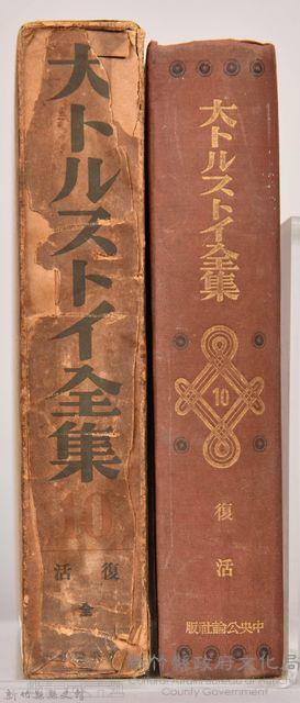 《大トルストイ全集１０》藏品圖，第3張