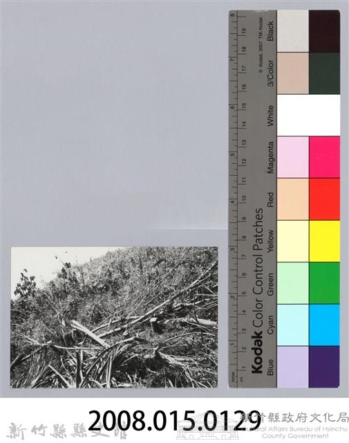 林保仁縣長主政照片：新竹縣芎林堤防防汛搶救演習-16藏品圖，第3張