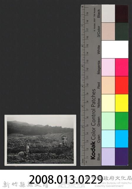 峨眉溪峨眉堤防復原工程(堤防復原300M)-施工中1藏品圖，第3張