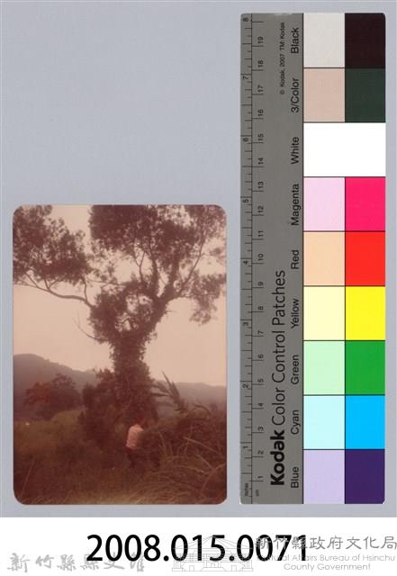 林保仁縣長主政照片：新竹縣新埔鎮六十七年度防汛演習-34藏品圖，第3張