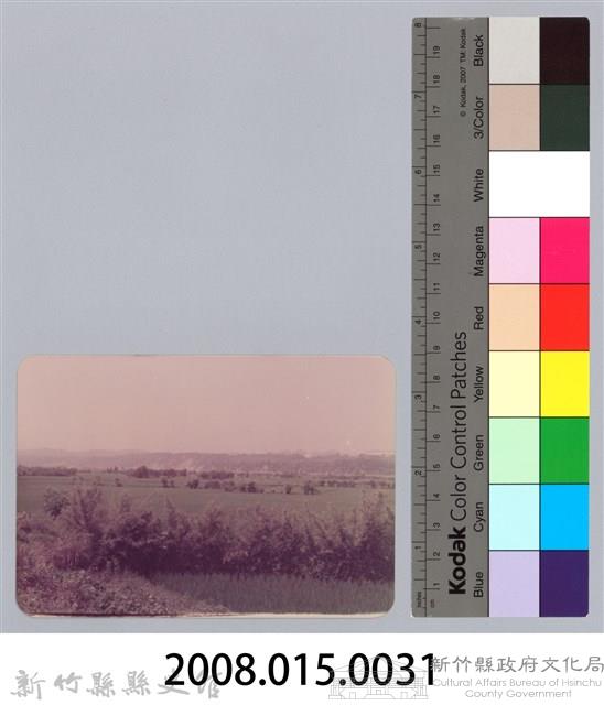 林保仁縣長主政照片：頭前溪剷除高莖作物-30藏品圖，第3張