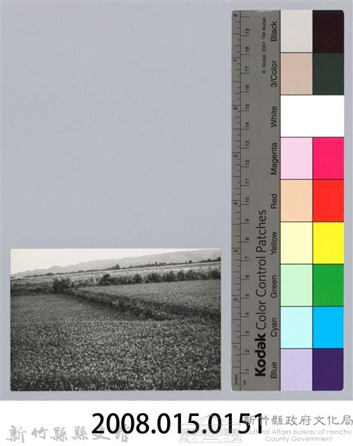 林保仁縣長主政照片：新竹縣芎林堤防防汛搶救演習-38藏品圖，第3張