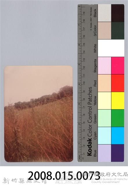 林保仁縣長主政照片：新竹縣新埔鎮六十七年度防汛演習-36藏品圖，第3張