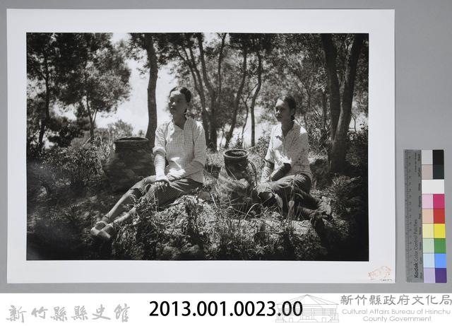 採茶女 （1950）藏品圖，第3張