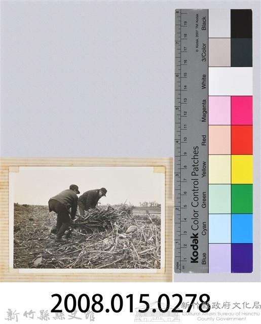 林保仁縣長主政照片：縣長林保仁視察-71藏品圖，第3張