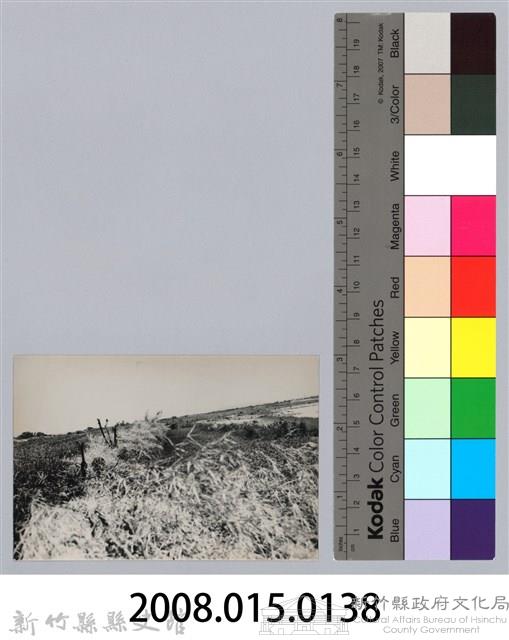 林保仁縣長主政照片：新竹縣芎林堤防防汛搶救演習-25藏品圖，第3張