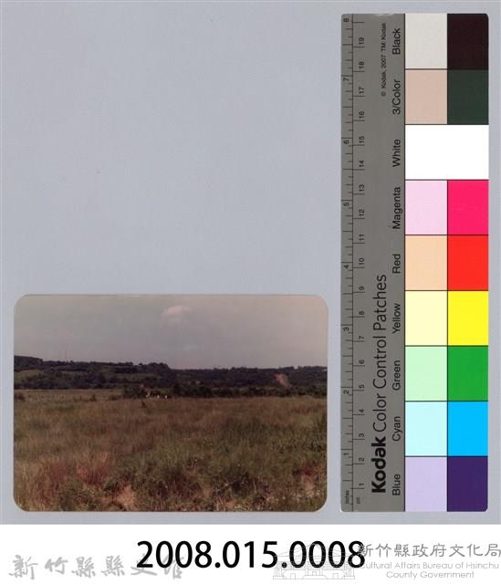 林保仁縣長主政照片：頭前溪剷除高莖作物-7藏品圖，第3張