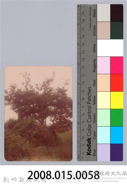 林保仁縣長主政照片：新竹縣新埔鎮六十七年度防汛演習-21藏品圖，第3張