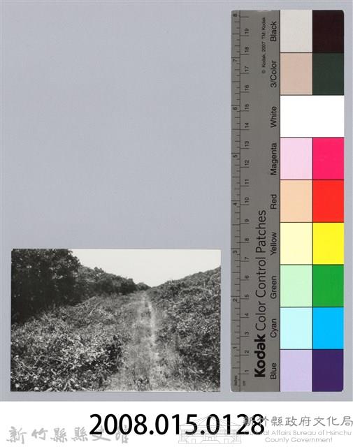 林保仁縣長主政照片：新竹縣芎林堤防防汛搶救演習-15藏品圖，第3張