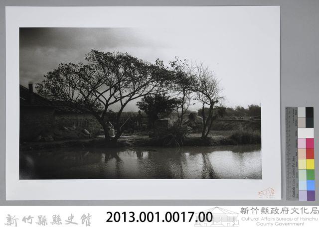 新竹鄉下─池畔（1950年）藏品圖，第3張