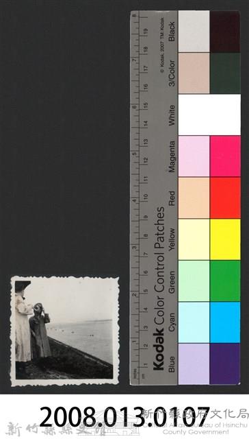 彭縣長出巡各市鎮：四十九年八一水災-1藏品圖，第3張