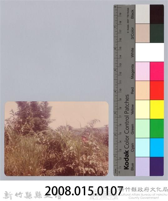 林保仁縣長主政照片：新竹縣新埔鎮六十七年度防汛演習-70藏品圖，第3張