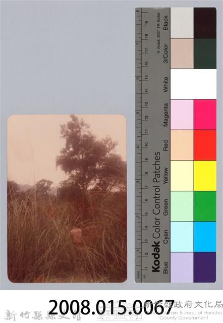 林保仁縣長主政照片：新竹縣新埔鎮六十七年度防汛演習-30藏品圖，第3張