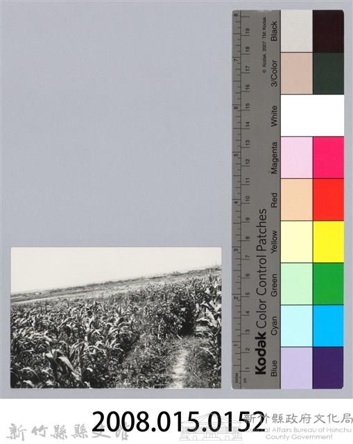 林保仁縣長主政照片：新竹縣芎林堤防防汛搶救演習-39藏品圖，第3張