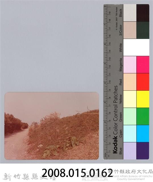 林保仁縣長主政照片：新竹縣芎林堤防防汛搶救演習-49藏品圖，第3張