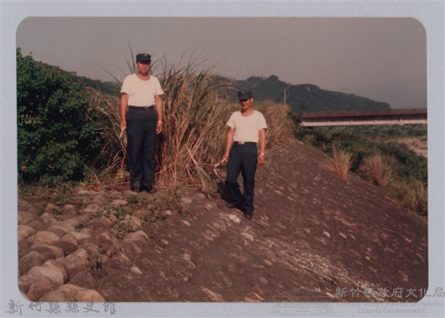 林保仁縣長主政照片：新竹縣七十一年度高莖作物砍成果-9藏品圖，第1張