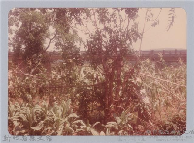 林保仁縣長主政照片：新竹縣新埔鎮六十七年度防汛演習-43藏品圖，第1張