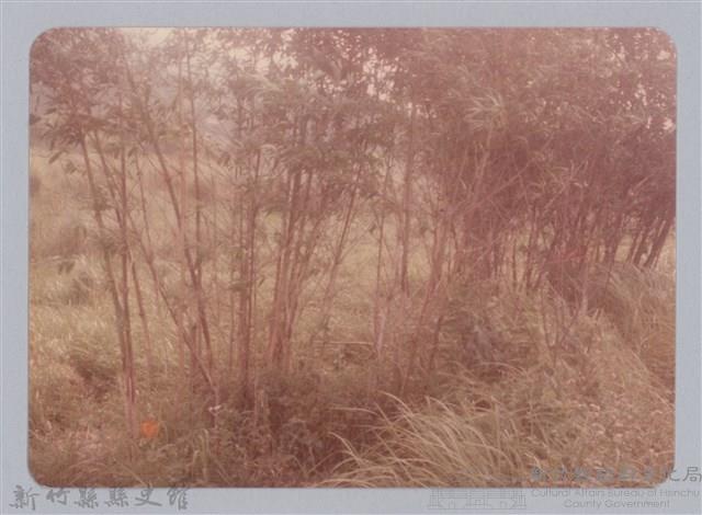 林保仁縣長主政照片：新竹縣新埔鎮六十七年度防汛演習-59藏品圖，第1張