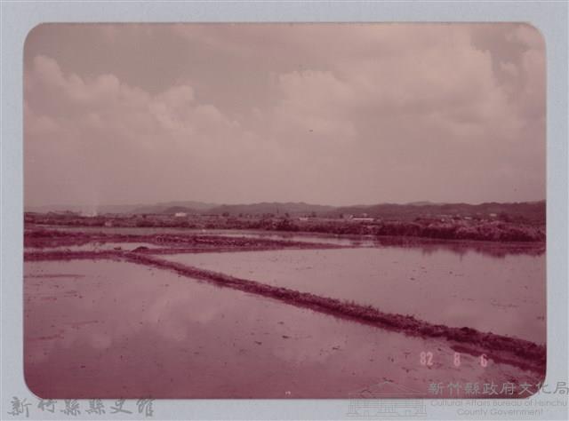 林保仁縣長主政照片：新竹縣七十一年度高莖作物砍成果-20藏品圖，第1張