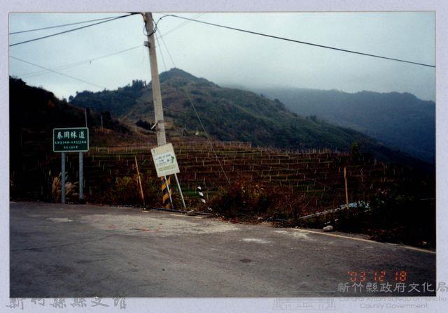 泰崗林道藏品圖，第1張