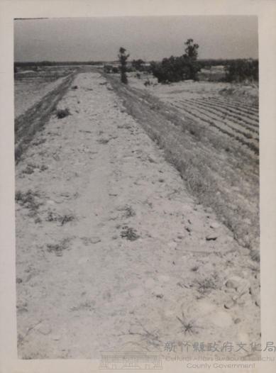 登錄號:2008.001.0935藏品圖，第1張